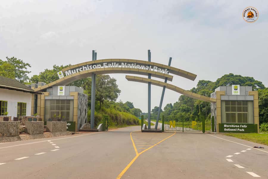 The Big5 3 Days Wildlife Adventure Experience in Uganda. - Pakuba Lodge and the value of staying inside the park area