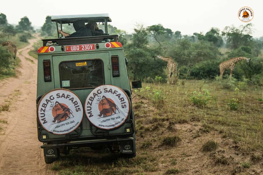 The Big5 3 Days Wildlife Adventure Experience in Uganda. - Guides, communication, and the feel of the trip