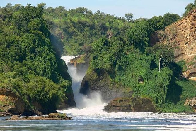 Three Days Murchison Falls National Park Tour in Uganda - Day two: the northern sector is the wildlife day