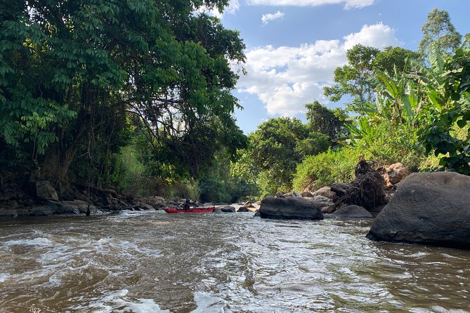 Uganda Jungle Rafting - Key points to know before you book