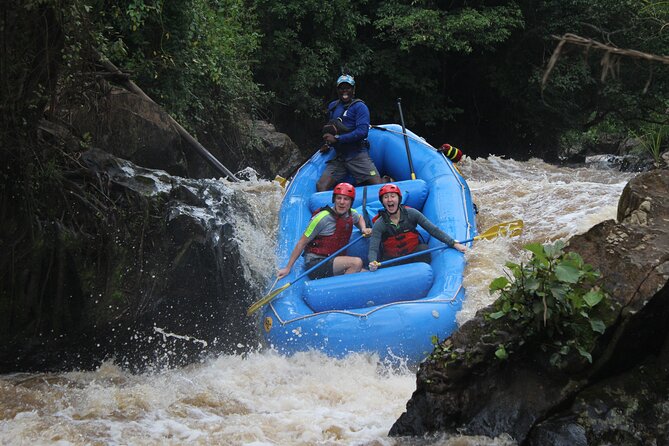 Uganda Jungle Rafting - Four hours through jungle and rapids