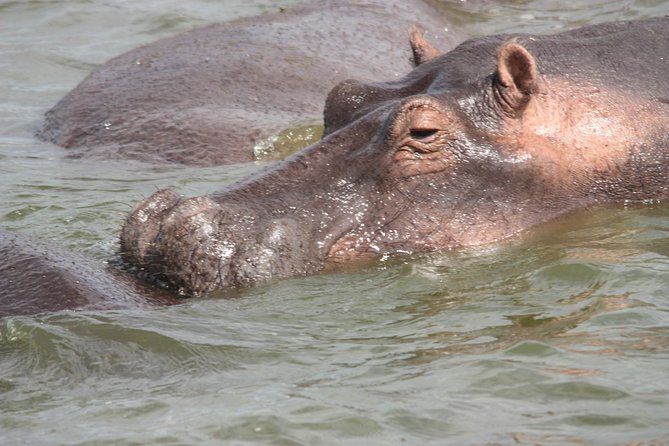 Uganda Wildlife Holiday - 8 Days - Day 6: Through the Kigezi Highlands to Bwindi