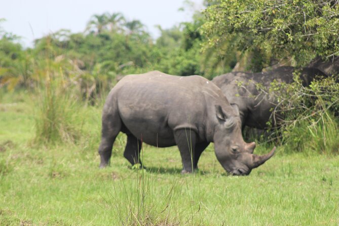 Unforgettable 3 days Murchison falls. - What is included, and where extra costs appear